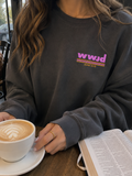 wwjd retro pink stripe crewneck